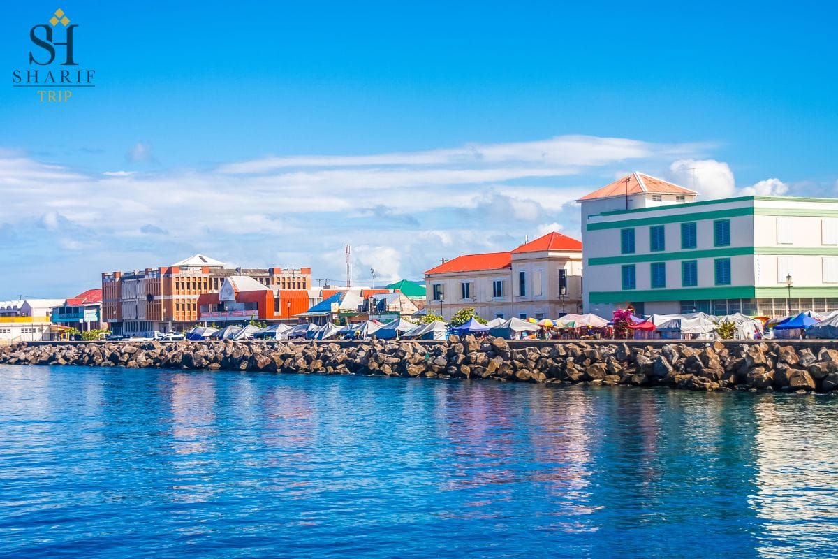 America and Dominica - ویزا مولتی آمریکا با پاسپورت دومینیکا