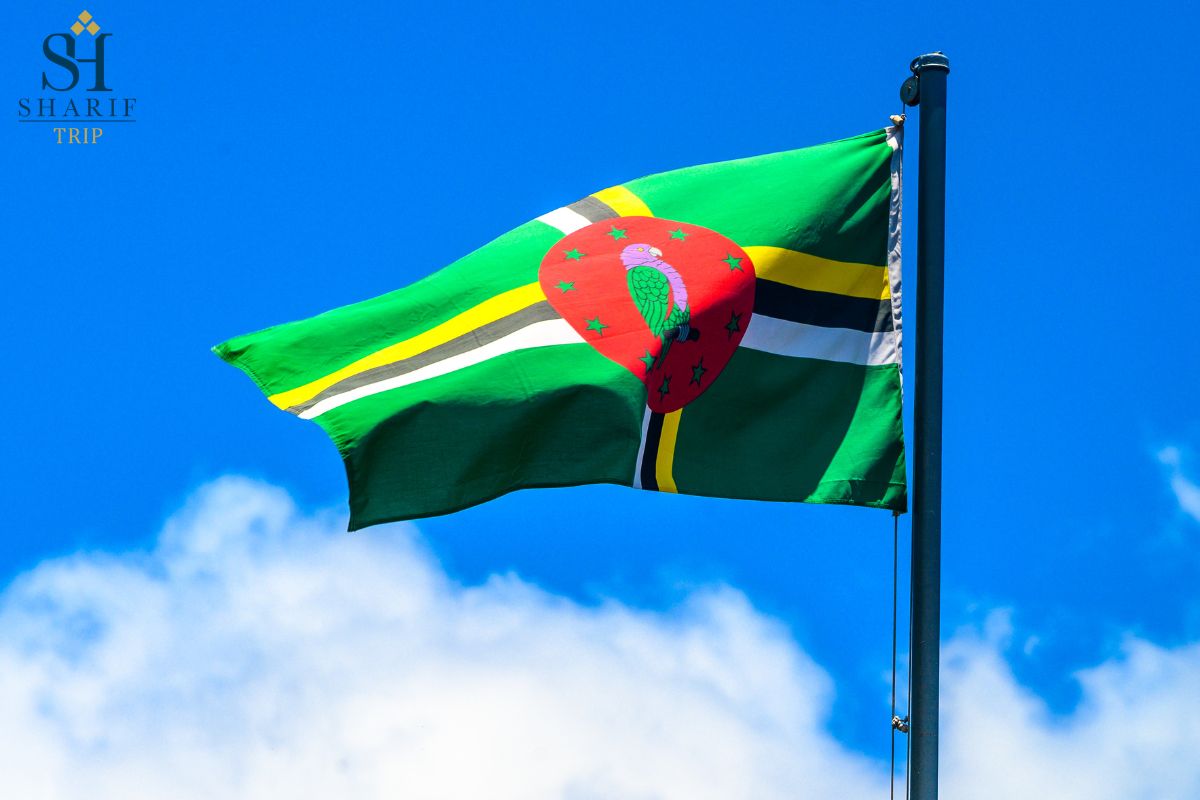 Dominica and UAE 3 1 - سفارت دومینیکا در امارات (ابوظبی)