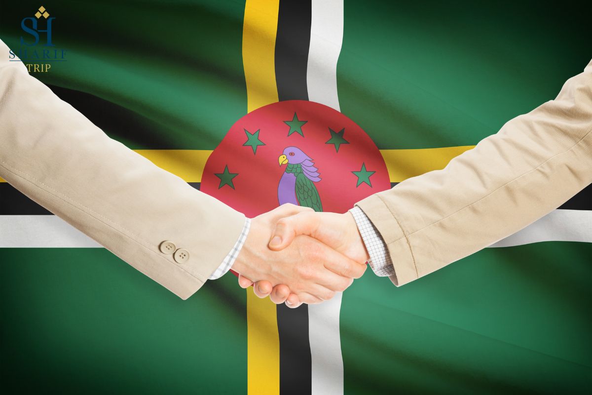 Invest in Dominica 1 - انواع سرمایه گذاری در دومینیکا