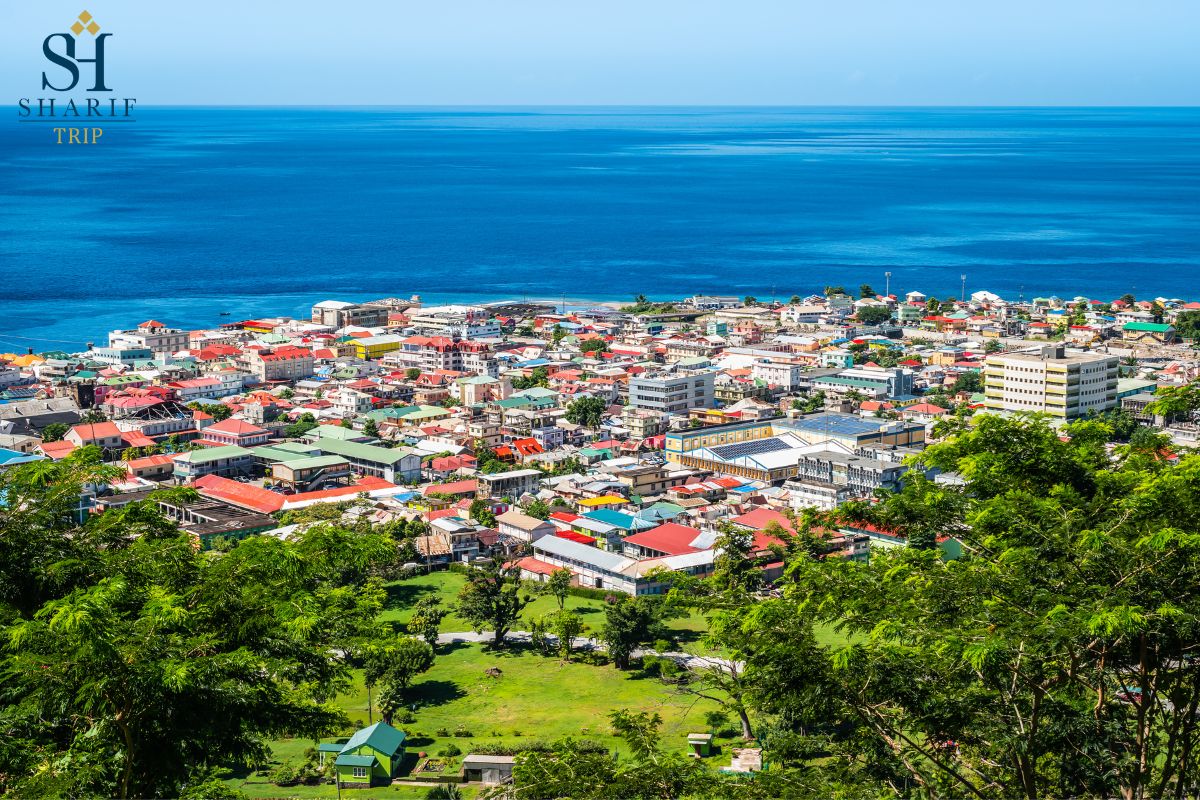 Invest in Dominica 2 - انواع سرمایه گذاری در دومینیکا