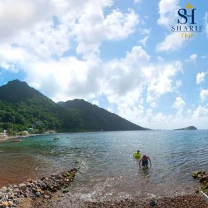 Top diving destination in Dominica - آخرین مقالات منتشر شده شریف تریپ