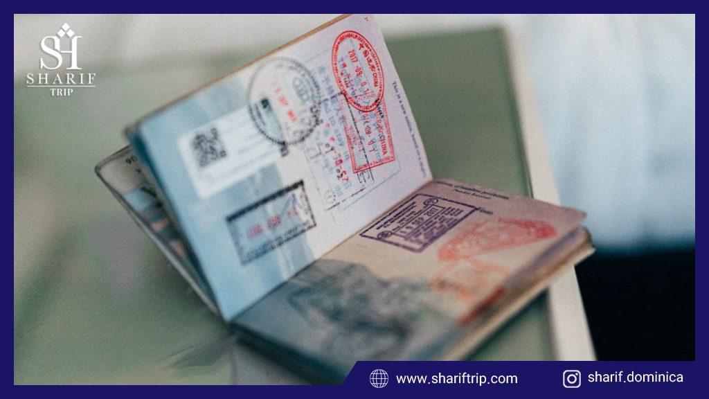 تابعیت یک فرد چگونه اتفاق می افتد؟ 2 - چه اشتباهاتی باعث لغو تابعیت میشوند؟