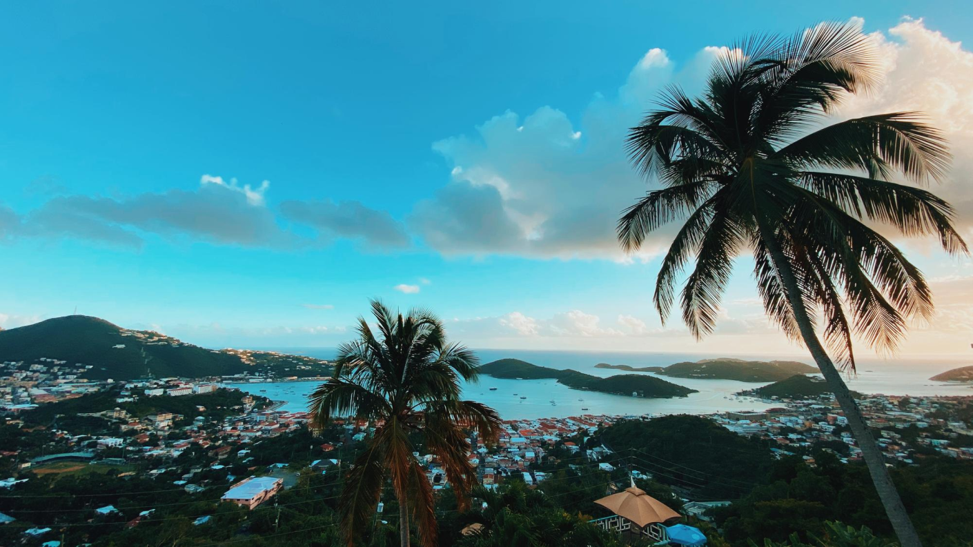 sant lusia passport 1 - Dominica passport; get passport of Dominica and citizenship of the island of Dominica